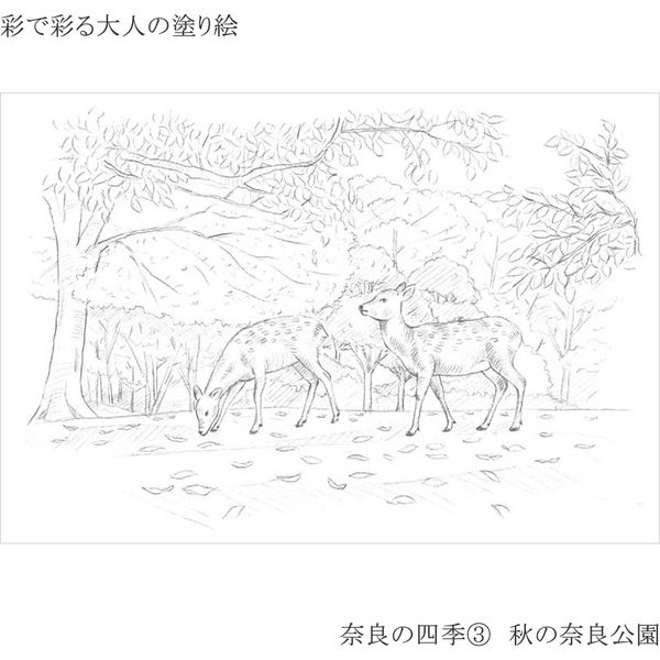 あかゆにゅ〜む塗り絵×150枚 ホロライブ所属 猫又おかゆ主演 おかゆにゅ〜〜む！塗り絵 5枚