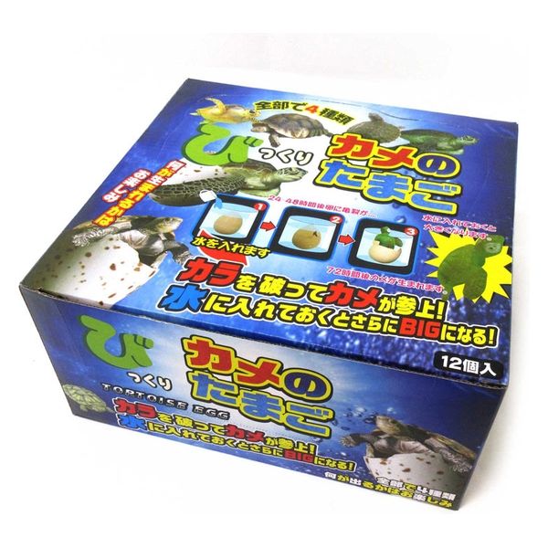 ファースト・アロー びっくりたまご カメ 20600669 12個（直送品） - アスクル