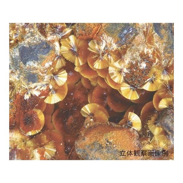 アズワン LEDズーム実体顕微鏡 双眼 7.5~50× SZM223B 1個 3-6690-01