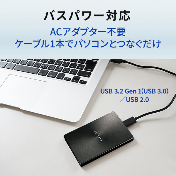 ＵＳＢ ３．１ Ｇｅｎ１ ＴｙｐｅーＣ対応 ポータブルハードディスク 