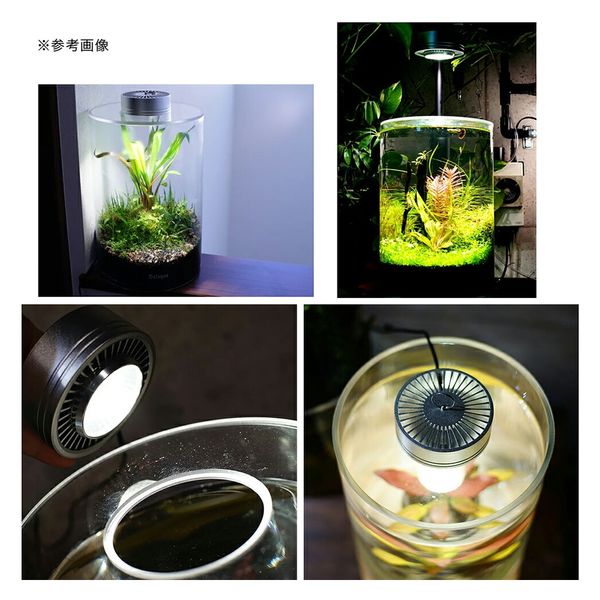 BARREL 植物育成LED E17 PLANTLIGHT SUN-5W-W sun5w.jpg