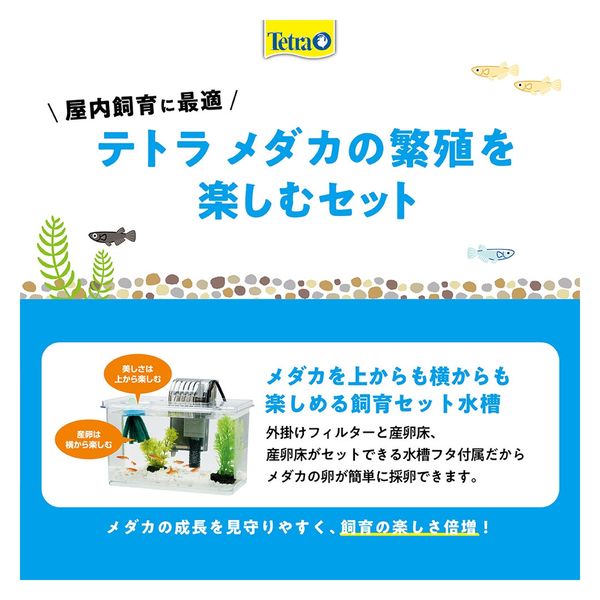 テトラ メダカの繁殖を楽しむセット L 269942 1セット（直送品