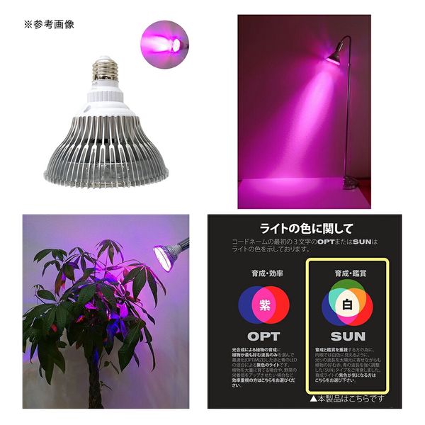 植物育成ライト 15W 3800K 4個 黒色 太陽光 フルスペクトルLED16 植物