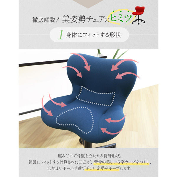 ネットフォース 美姿勢チェア デスクチェア ブラック NF-BIS-1 ネットフォース 美姿勢チェア デスクチェア ブラック NF-BIS-1