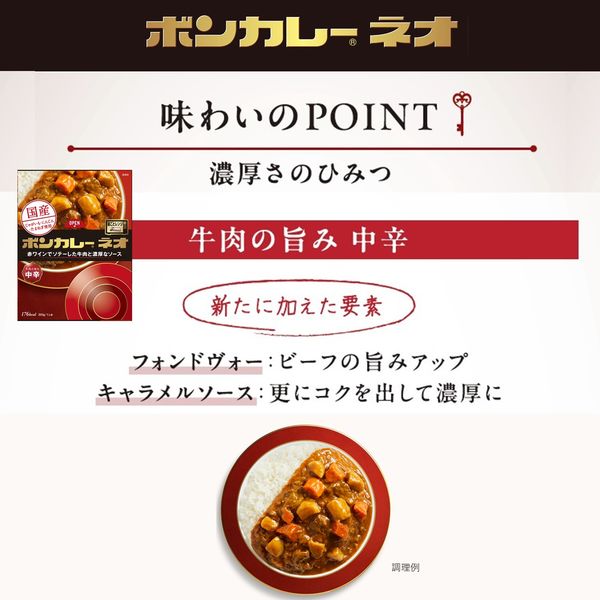 ボンカレーネオ 牛肉の旨み 中辛 200g 1セット（1個×5）大塚食品
