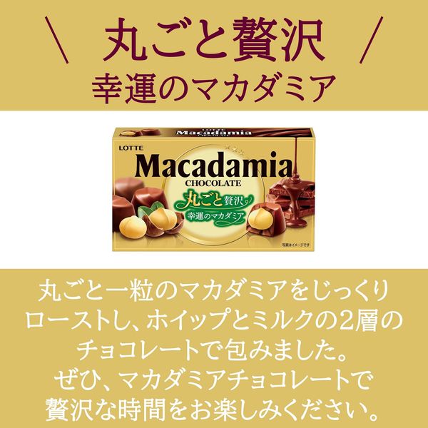 マカダミアチョコレート 6個 ロッテ チョコレート