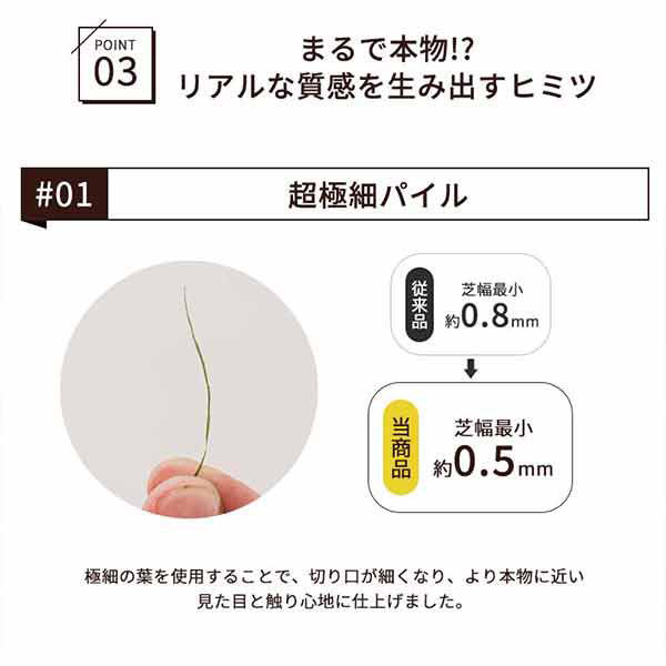 三栄コーポレーション 人工芝ロール 人工芝マット 2m×10m 芝丈50mm ナチュラルグリーン/春・秋色（直送品） - アスクル