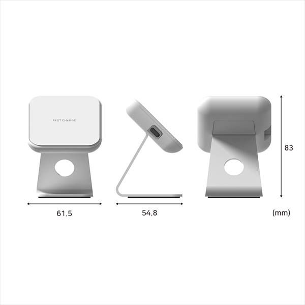 ロア・インターナショナル STAND ON 2WAY 急速充電対応ミニ