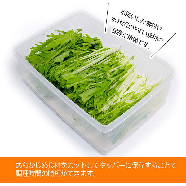 サンコープラスチック SS-1 食品保存容器 スノコ付(セット販売：10個 