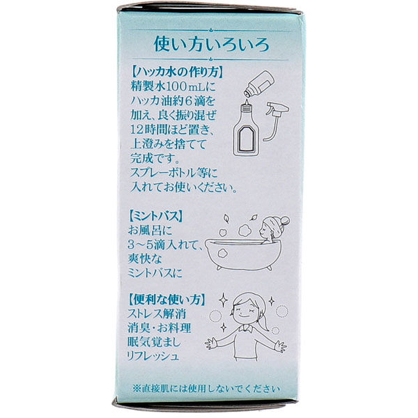 大洋製薬 食品添加物 和種 ハッカ油 20mL 4975175021913 1個(20ml入