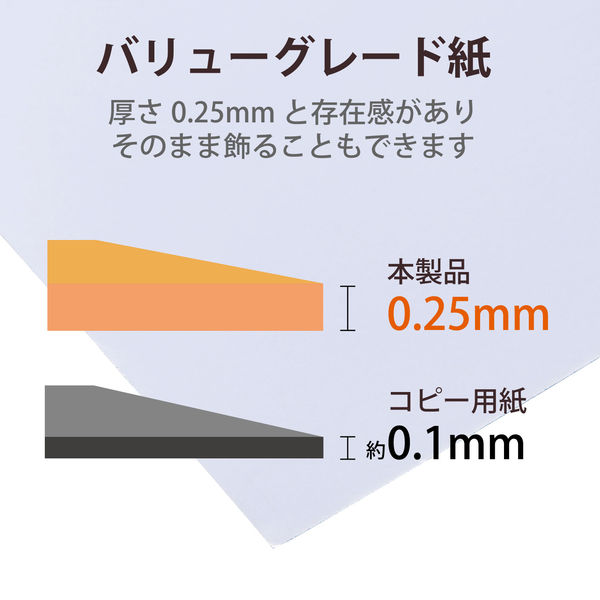 プリンター用紙 写真用紙 2L判 100枚 光沢 厚手 ホワイト EJK-VL2L100