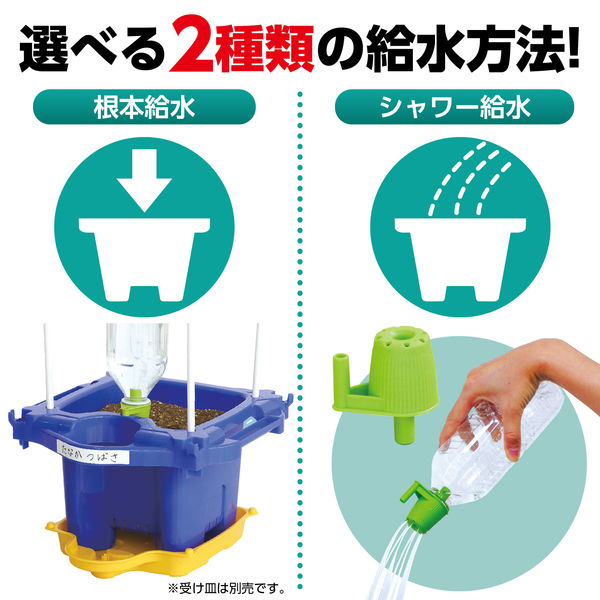 Aru　セット3冊 story_03.jpg