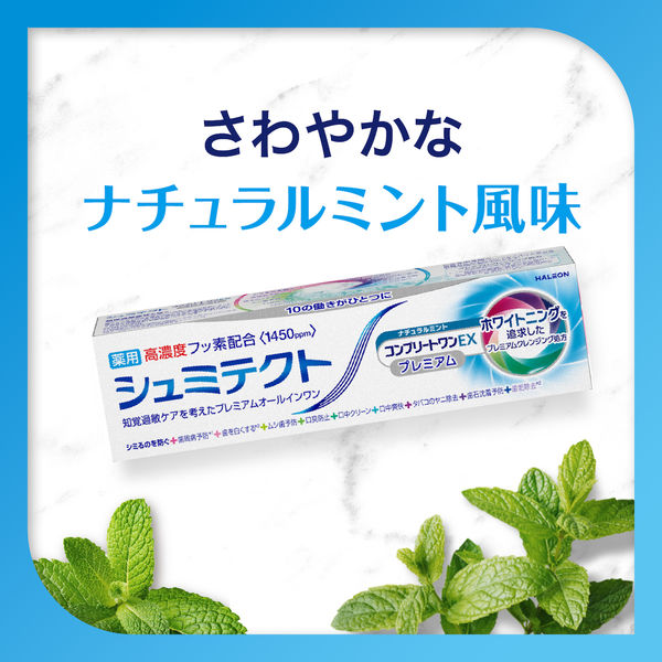 歯磨き粉 フッ素 シュミテクト コンプリートワンEX プレミアム