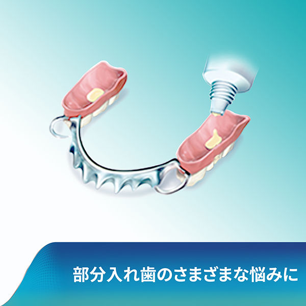 部分・総入れ歯安定剤 新ポリグリップ トータルプロテクションEX 70g 1 