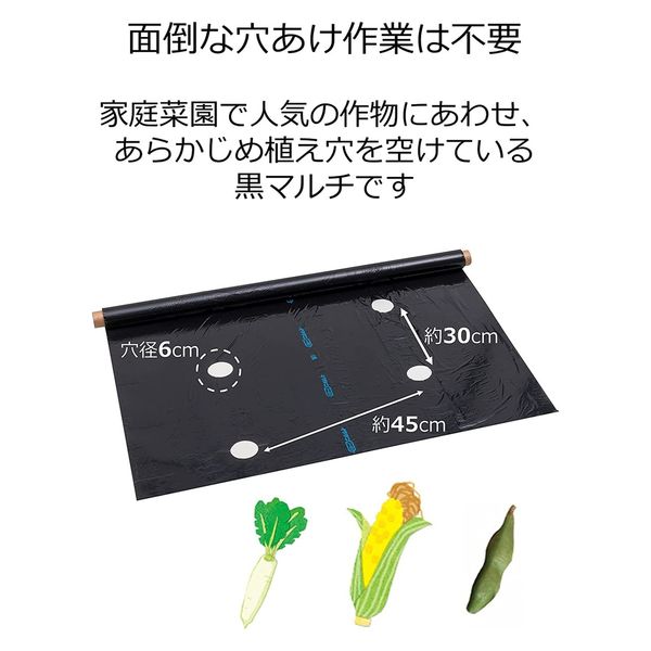 岩谷マテリアル 岩谷 穴あき大根黒マルチ0.02mm×950mm×50m