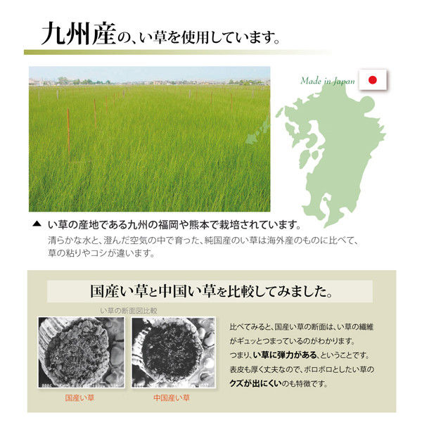 イケヒコ 純国産 い草 上敷き カーペット 双目織 『ほほえみ』 三六間