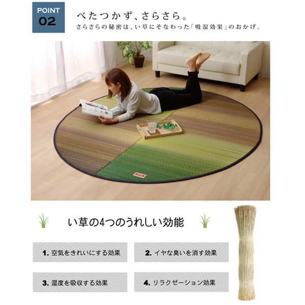 イケヒコ い草ラグ 国産 ラグ カーペット 楕円形 カラフル 『F イケヒコ い草ラグ 国産 ラグ カーペット 楕円形 カラフル 『F