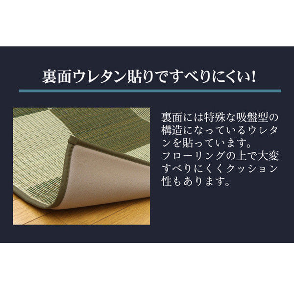 イケヒコ 純国産 い草ラグカーペット 『Fブロック2』 グリーン 約140×200cm（裏：ウレタン） 1枚（直送品） - アスクル