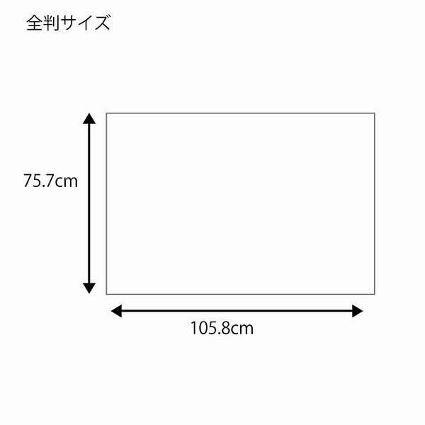 ケース販売】シモジマ HEIKO 包装紙 全判 ペールフラワー 002360900 1 