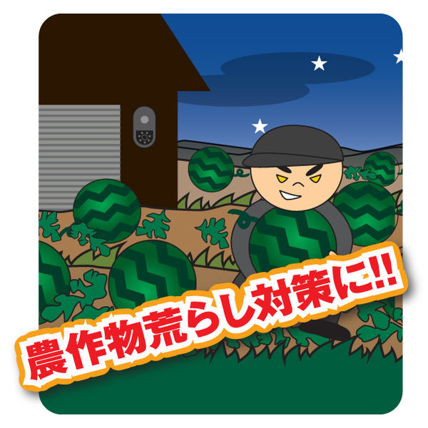 リーベックス 防犯カメラ SD1000 microSD録画式 センサーカメラ
