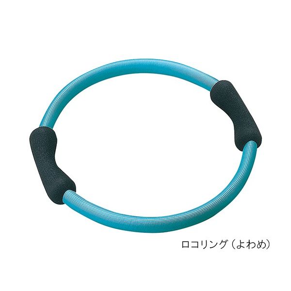 羽立工業 自立体力トレーニング基本セット 1組(5個入) NH5903 1