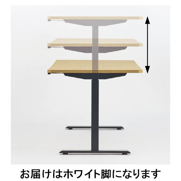昇降テーブル SEKI 電動昇降テーブルHOP オーク天板／ホワイト脚 幅1800×奥行