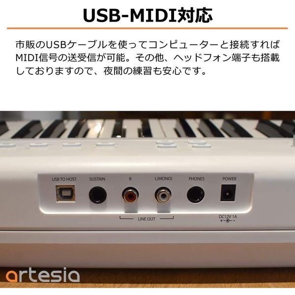 Artesia 電子ピアノ PERFORMER / BK 1箱(1個入)（直送品