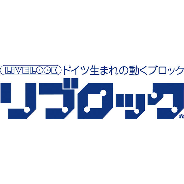 マスセット リブロックS 500個組 ベーシック 知育玩具 60444 1