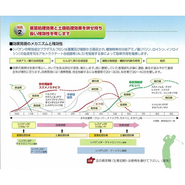 石原バイオサイエンス 石原バイオ シバゲンDF 100g 2056903 1袋（直送