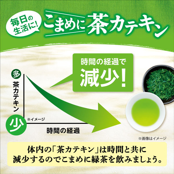 【水出し可】伊藤園 有機粉末茶 丸ごと茶カテキン 1袋（40g）