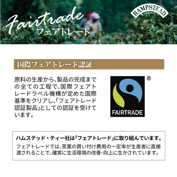 オーガニック紅茶 | 16箱 ハムステッド | ダージリン 新品未開封