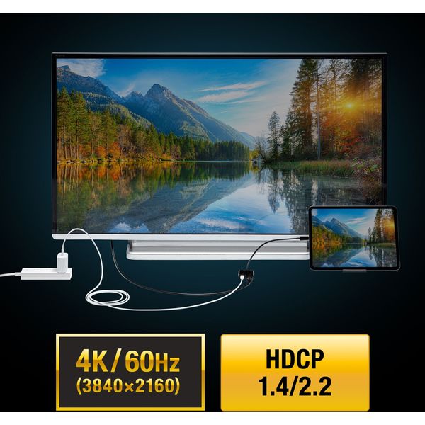 サンワサプライ USB Type C-HDMI変換アダプタ（4K/60Hz/PD対応） AD 