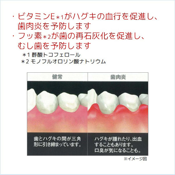 ラーク ハミガキ 150g 1セット（2本） サンスター LARK 歯磨き粉