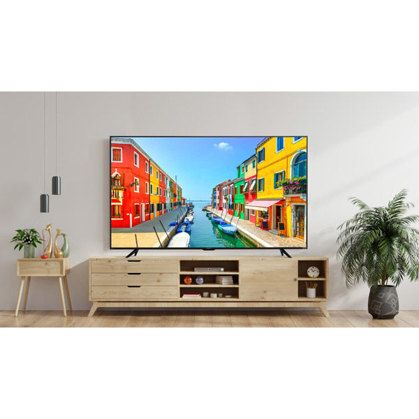 【設置込】アイリスオーヤマ LUCA 4Kチューナー内蔵液晶テレビ 65インチ LT-65D6210B 1台（直送品）