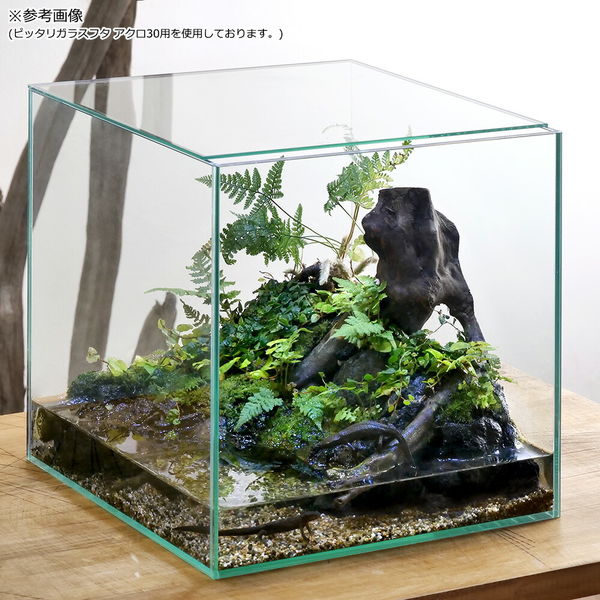 未使用 アクリル水槽 30cmキューブ水槽 2025年最新】Yahoo!オークション -30cm キューブ 水槽の中古品
