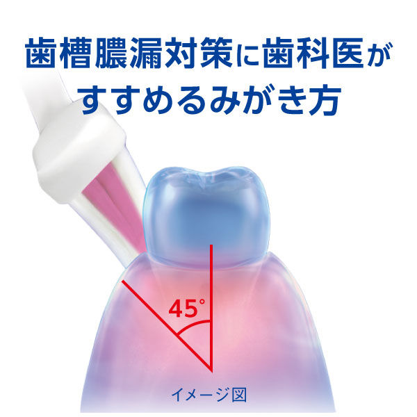 デントヘルス ハブラシ やさしくケア マッサージ ふつう 1セット（6本