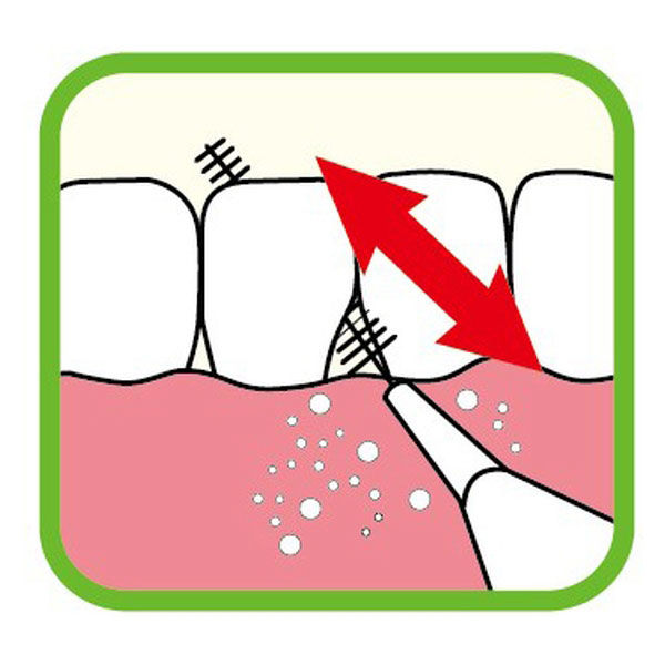 DENTALPRO（デンタルプロ） 歯間ブラシ（I字型） サイズ5（L） 15本入 デンタルプロ - アスクル