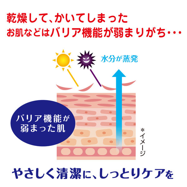 薬用ソフレ 清潔スキンケア入浴液 本体 720mL 5個 お湯の色 乳白色