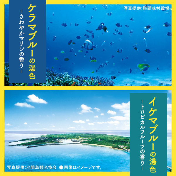 入浴剤 バスロマン 旅する沖縄 バスソルト 4種アソート 1セット（12包