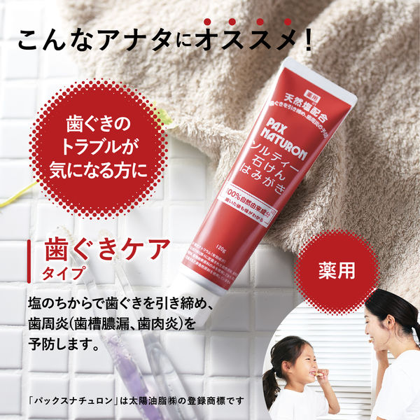 パックスナチュロン ソルティー石けんはみがき 120g 1セット(2個