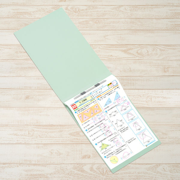 プラス フラットファイルA3E縦罫線タイプBL 98205 1冊 - アスクル プラス フラットファイルA3E縦罫線タイプBL 98205 1冊 - アスクル