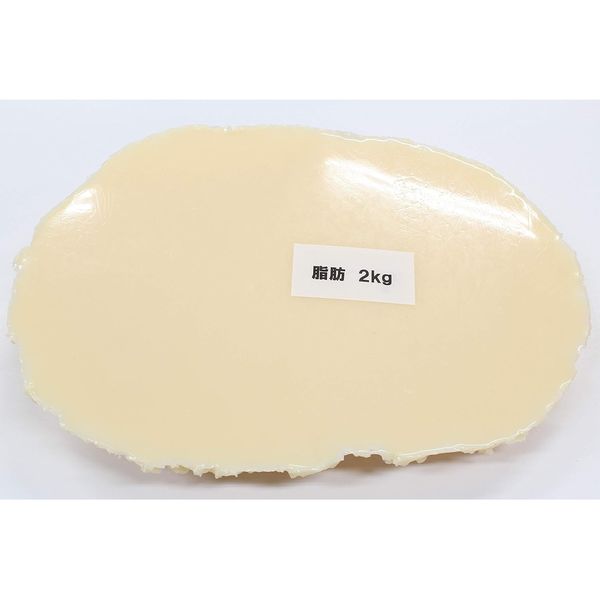 イワイサンプル 脂肪の塊(2kg) SI-020 1個 24-4514-02（直送品