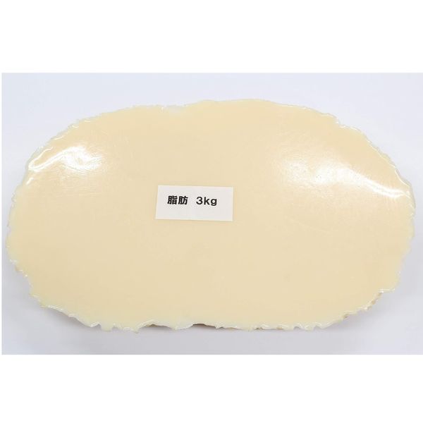 イワイサンプル 脂肪の塊(3kg) SI-030 1個 24-4514-03（直送品