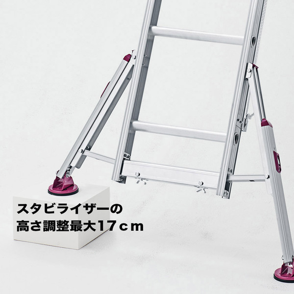 長谷川工業　脚部伸縮式スタビライザー付2連はしご　ハチ型　LSS21.0-54　（直送品）