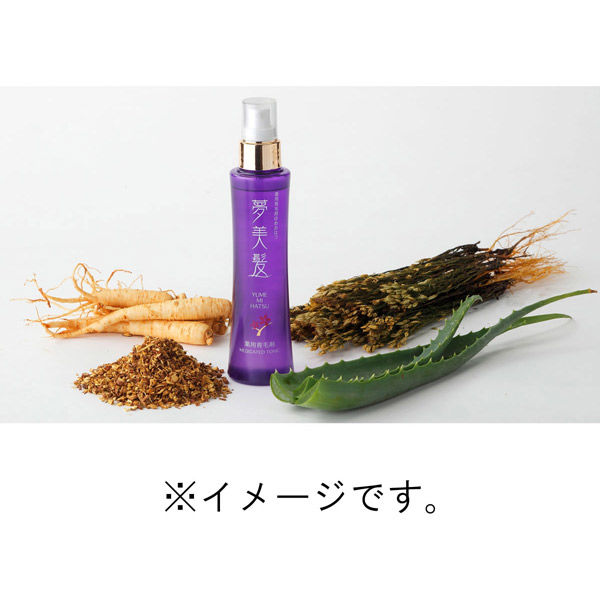 リフレ 薬用育毛剤 夢美髪 150mL 1個(150ml入)×2セット（直送品