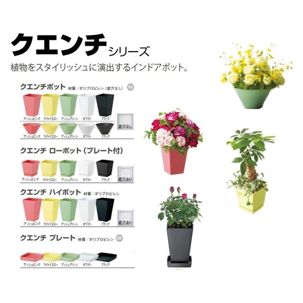 大和プラスチック クエンチローポット(プレート付) 6号 ホワイト