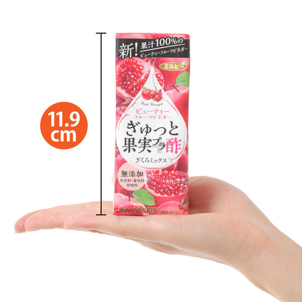 エルビー ぎゅっと果実+酢 ざくろミックス 200ml 1箱(24本入 エルビー ぎゅっと果実+酢 ざくろミックス 200ml 1箱(24本入