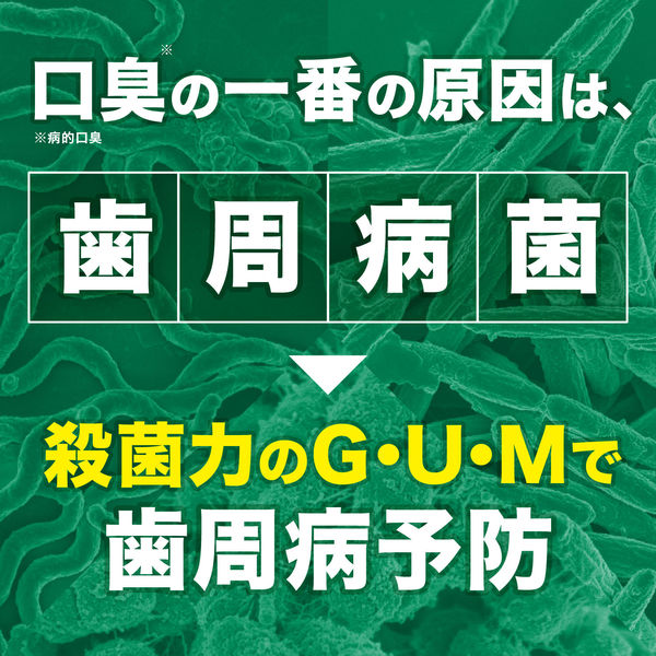 ガム デンタルリンス レギュラー 本体+付替えセット 960mL 4セット