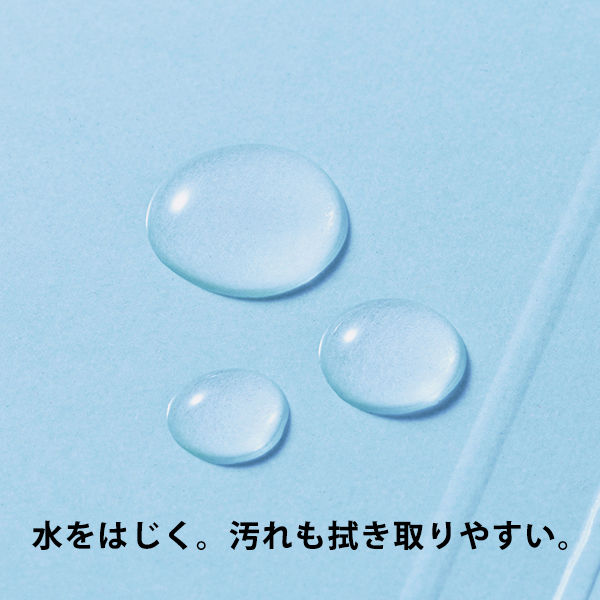 コクヨ アスクル 共同企画 フラットファイル PPラミネート A4