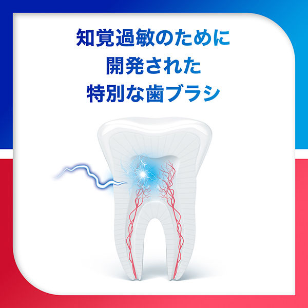 シュミテクト 歯周ダブルケアEX ハブラシ レギュラー ふつう 歯周病ケア 1セット（12本）グラクソ・スミスクライン - アスクル